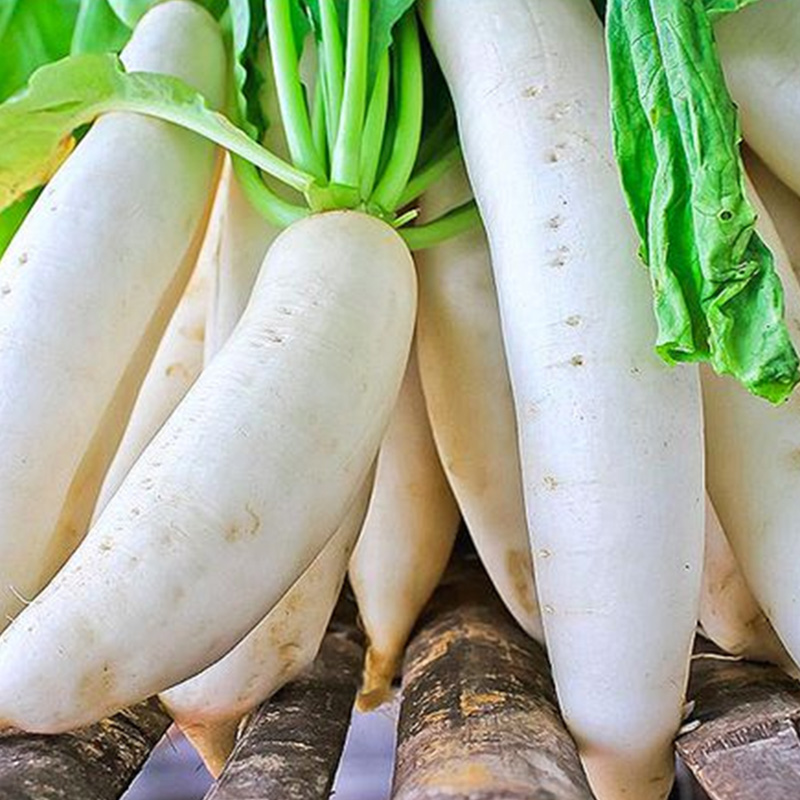 Dehydrated White Radish