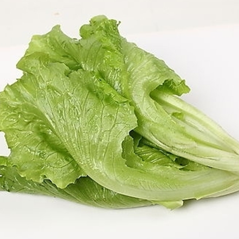 Dehydrated Lettuce