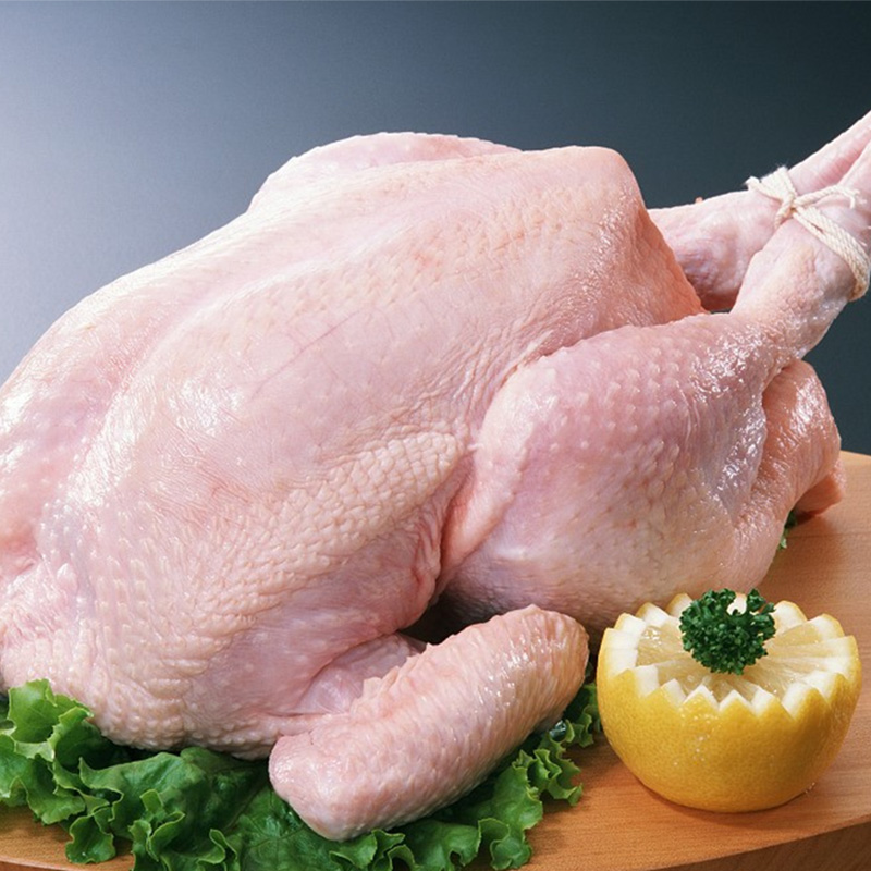 Freeze dried Chicken