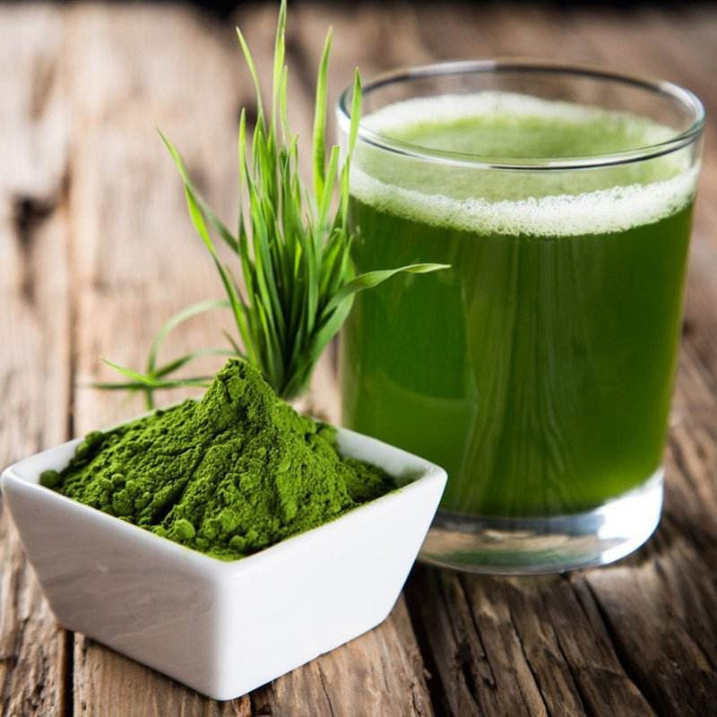 Barley Grass Powder