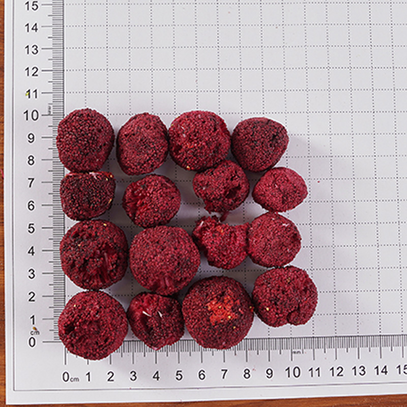 Freeze dried Red Bayberry